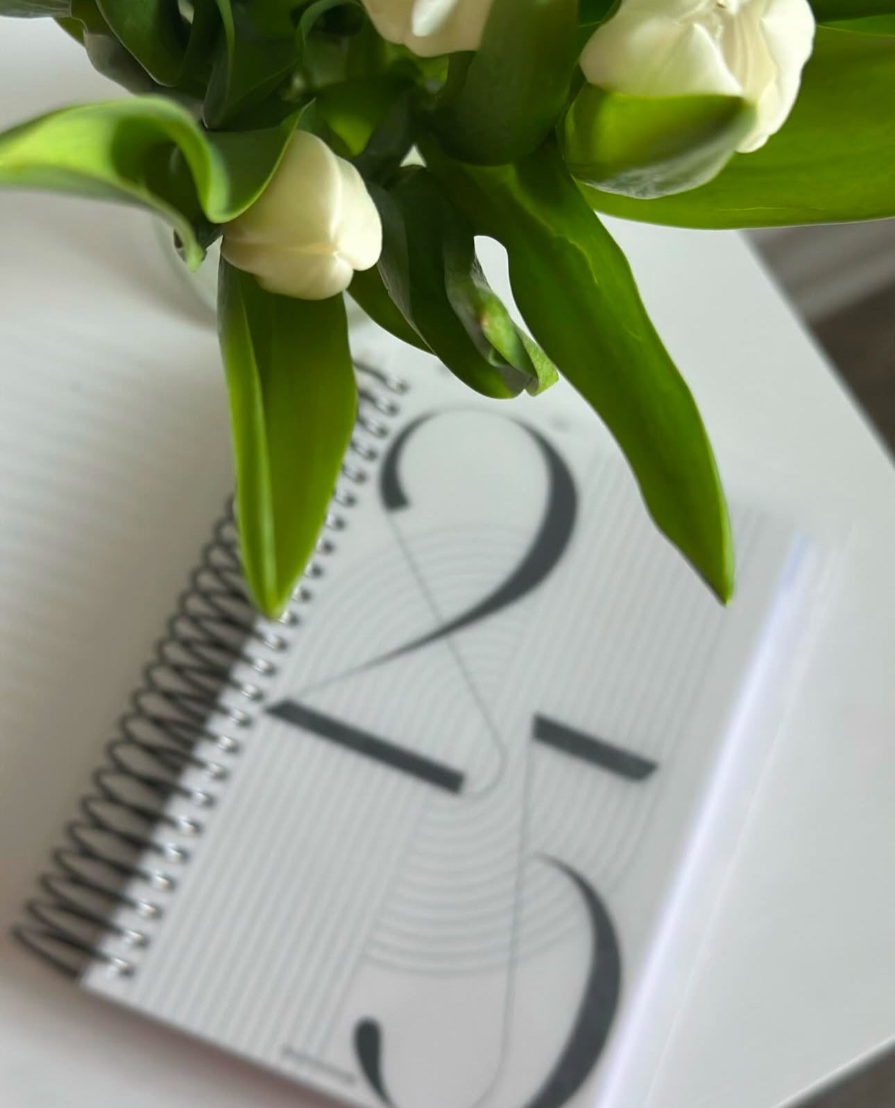 The Archive Planner 2025